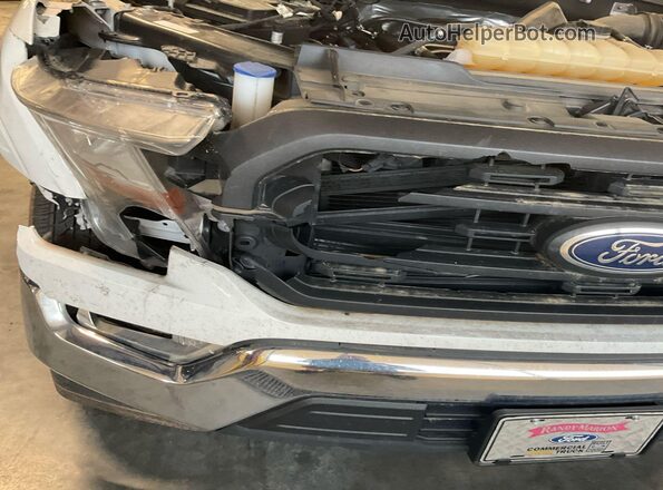 1FTEX1C52MFC37025 2021 FORD F150  