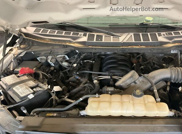 1FTEX1C52MFC37025 2021 FORD F150  