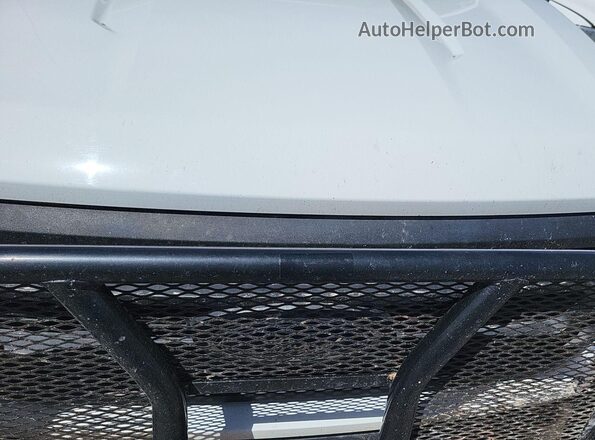 1FTFW1E56MFB63743 2021 FORD F150  Вид підкапотного простору