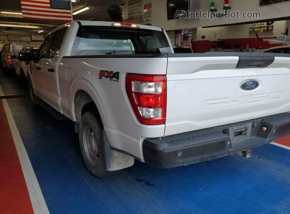 1FTFW1E59PFB50554 2023 FORD F150  Панорамный вид салона 360°