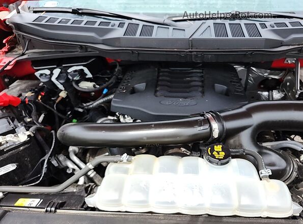 1FTFW1E82MKF01074 2021 FORD F150  Вид сзади