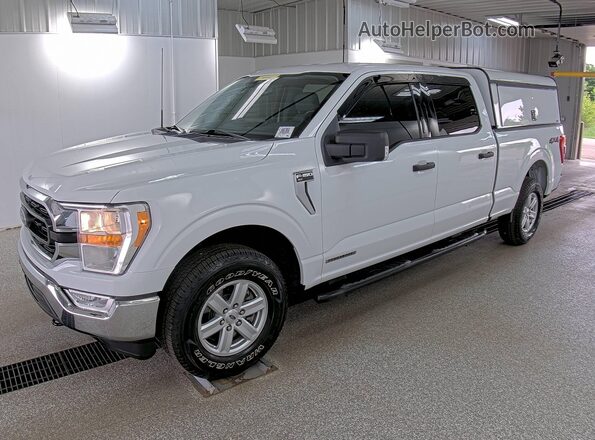 1FTFW1ED0MFD13272 2021 FORD F150  