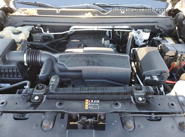 1GCHSCEA2M1235015 2021 CHEVROLET COLORADO Черный Вид задней части салона