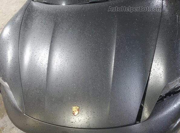 WP0AA2Y16MSA13729 2021 PORSCHE TAYCAN Gray Սալոնի հետևի տեսք