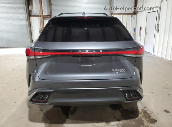 2T2BAMCA6RC062910 2024 LEXUS RX Угольный Вид сзади