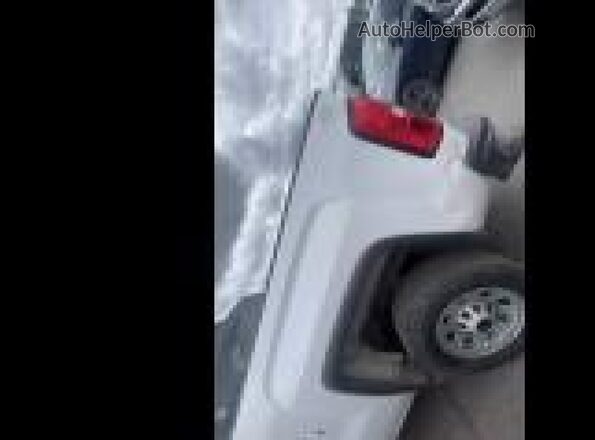 2GT22NEG3K1225073 2019 GMC SIERRA Белый Вид сзади