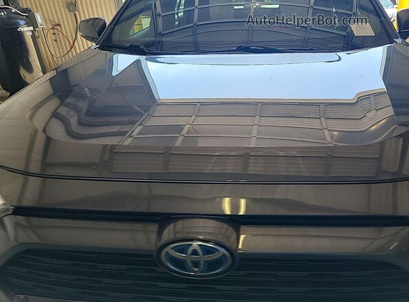 2T3RWRFV4PW172048 2023 TOYOTA LE  Հետևի ձախ