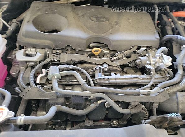 2T3RWRFV4PW172048 2023 TOYOTA LE  Հետևի աջ