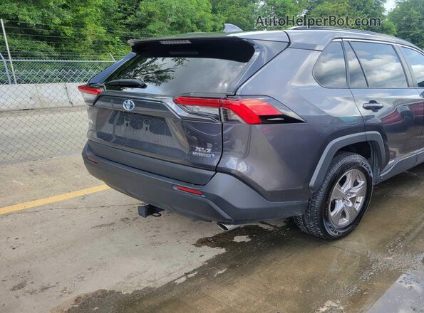 2T3RWRFV4PW172048 2023 TOYOTA LE  Սալոնի հետևի տեսք