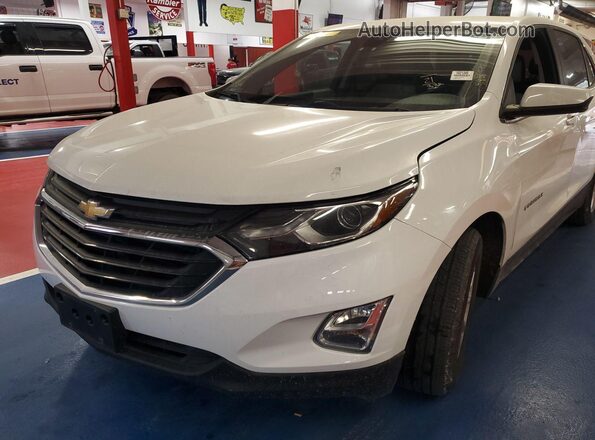 3GNAXJEV8MS121066 2021 CHEVROLET EQUINOX  Rear view
