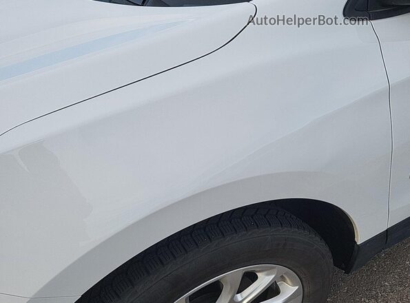 3GNAXSEV5MS170327 2021 CHEVROLET EQUINOX  Tył prawy