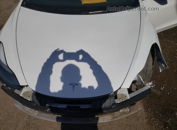 5YJ3E1EA3PF397821 2023 TESLA MODEL Белый 