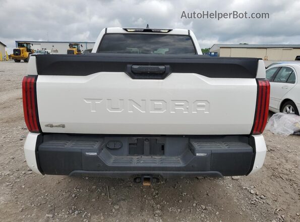5TFLA5DBXSX246728 2025 TOYOTA TUNDRA Белый Вид сзади