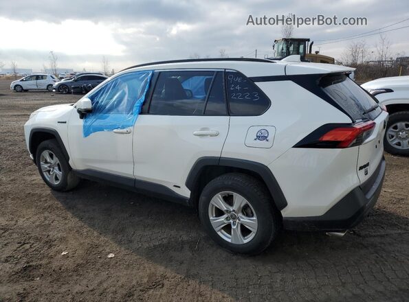 JTMR6RFV2MD014476 2021 TOYOTA LE White Հետևի ձախ