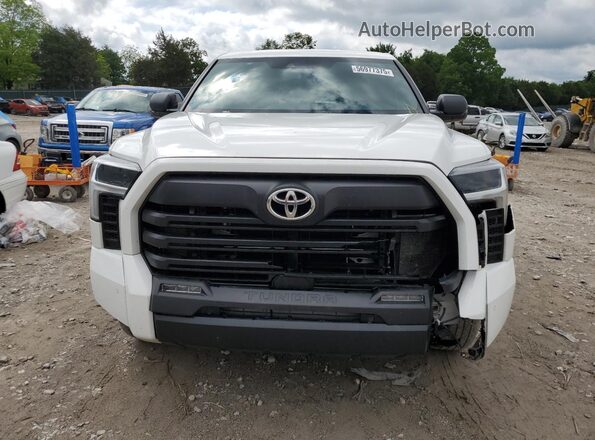 5TFLA5DBXSX246728 2025 TOYOTA TUNDRA Белый Вид спереди