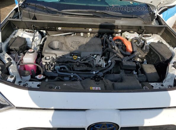 JTMR6RFV2MD014476 2021 TOYOTA LE White Սալոնի հետևի տեսք