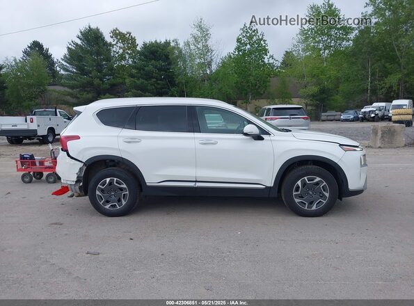5NMS2DA18PH009010 2023 HYUNDAI SANTA FE HYBRID BLUE White Rear interior view