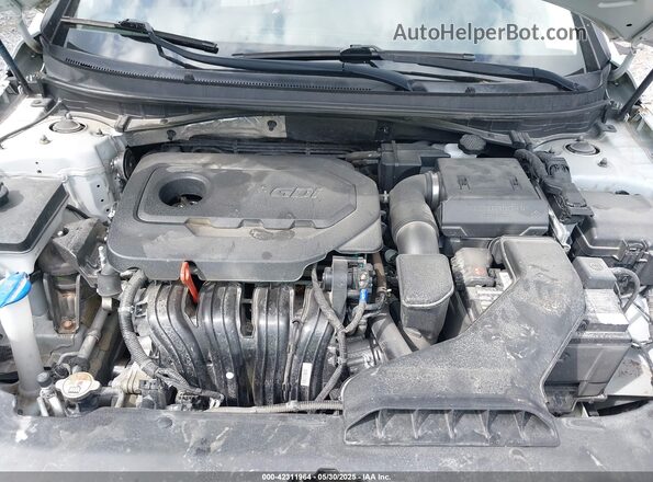 5NPE34AF2KH807147 2019 HYUNDAI SONATA Silver Widok z tyłu