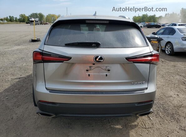 JTJDARBZ4M2178631 2021 LEXUS NX Золотой Вид сзади