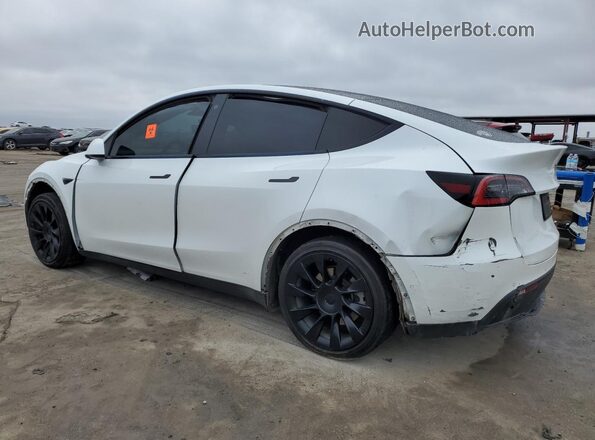 5YJYGDEE9MF088273 2021 TESLA MODEL White უკანა მარცხენა
