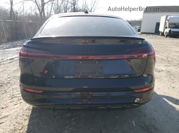 WA1DAAGE9RB025366 2024 AUDI Q8 Charcoal Rear view