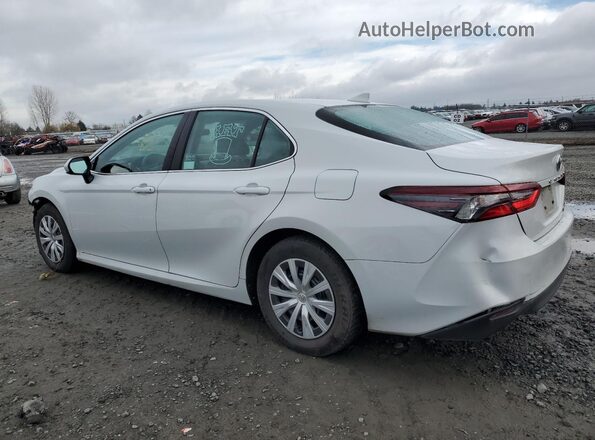 4T1C31AK5PU055343 2023 TOYOTA LE White Задня ліва чверть