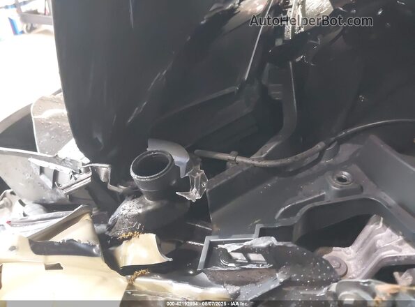 7SAYGDED2RF091484 2024 TESLA MODEL Y Черный Вид сзади