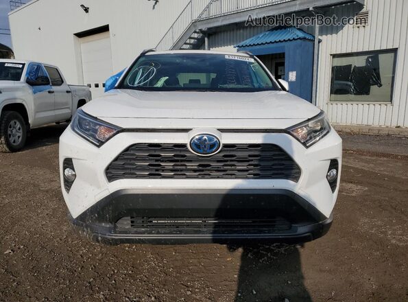 JTMR6RFV2MD014476 2021 TOYOTA LE White Դիմացի տեսք