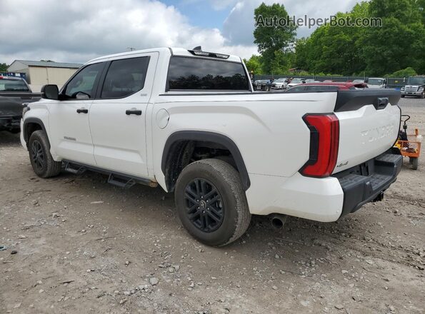 5TFLA5DBXSX246728 2025 TOYOTA TUNDRA Белый Задняя левая четверть