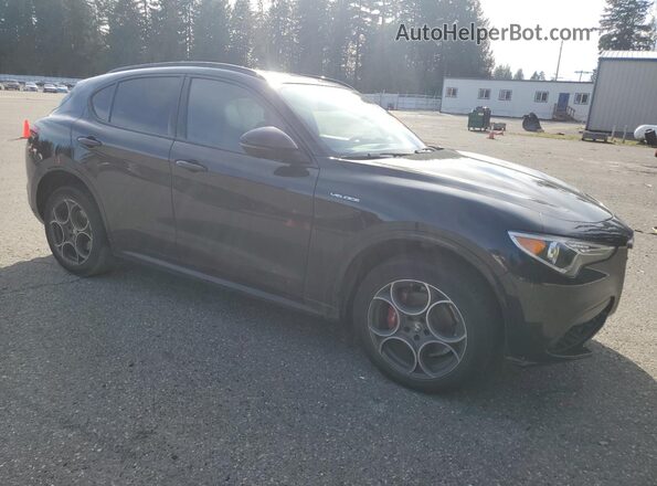 ZASPAKBN3N7D24856 2022 ALFA ROMEO STELVIO Черный 