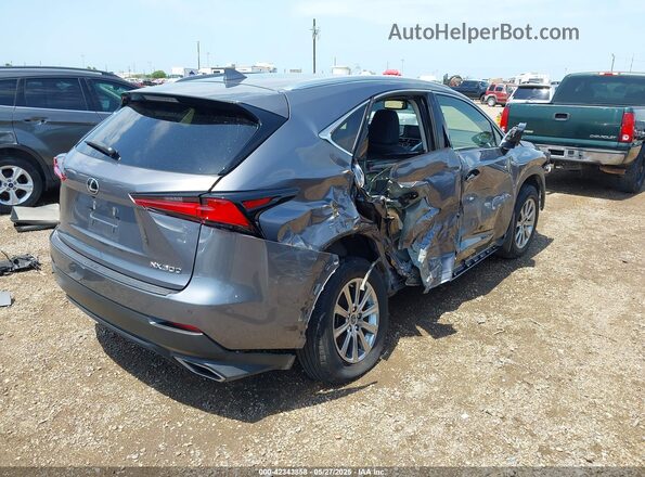JTJDARBZ1M2198884 2021 LEXUS NX 300 Gray 