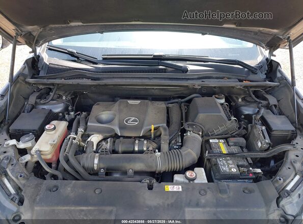 JTJDARBZ1M2198884 2021 LEXUS NX 300 Gray 