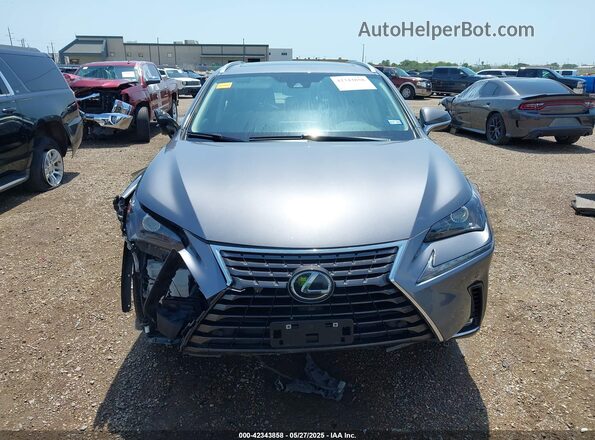 JTJDARBZ1M2198884 2021 LEXUS NX 300 Gray 
