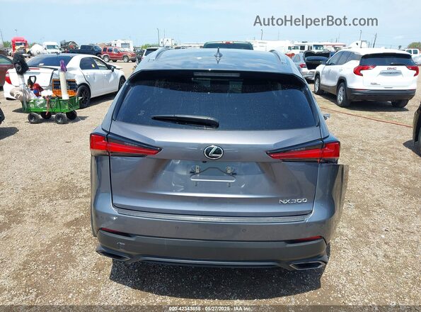 JTJDARBZ1M2198884 2021 LEXUS NX 300 Gray 