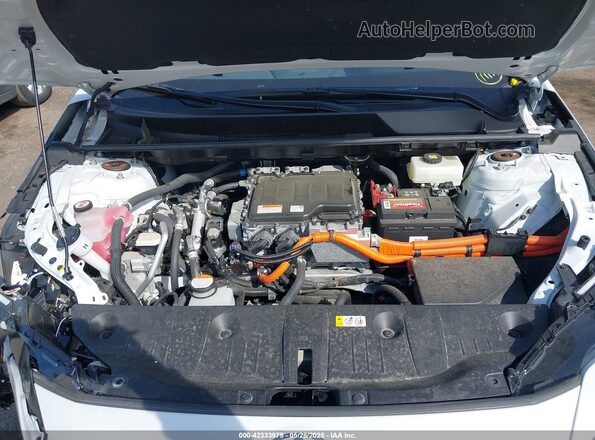 JTMABACA7PA011770 2023 TOYOTA LIMITED White Widok z tyłu
