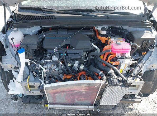 KNDNE5KA8S6042829 2025 KIA CARNIVAL MPV HYBRID Silver Widok z tyłu