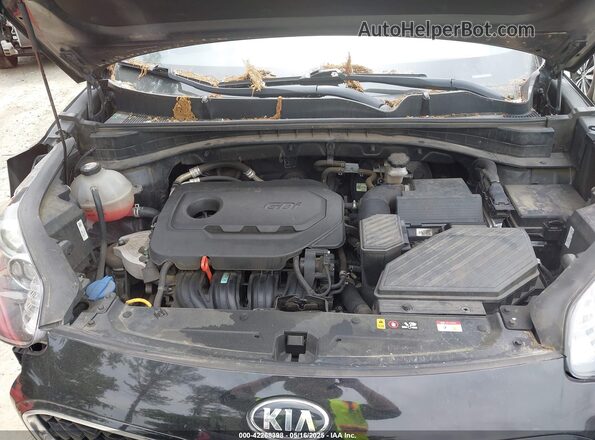 KNDPM3AC5M7930664 2021 KIA SPORTAGE Black Հետևի տեսք