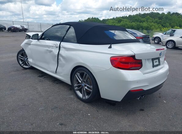 WBA2M7C59KVD51993 2019 BMW 2 SERIES White უკანა მარცხენა