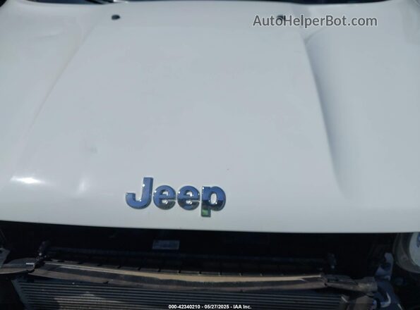 ZACNJDAB8MPN22480 2021 JEEP RENEGADE White Widok z tyłu