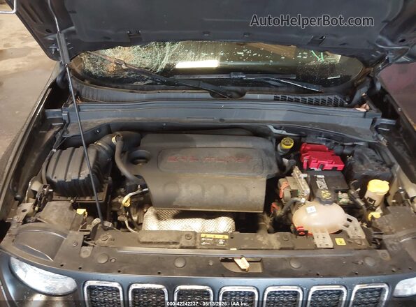 ZACNJDBB0MPM28530 2021 JEEP RENEGADE Серый Вид сзади
