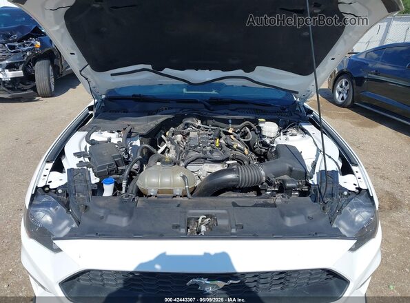 1FA6P8TH3P5105186 2023 FORD MUSTANG Белый 