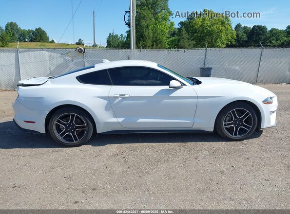 1FA6P8TH3P5105186 2023 FORD MUSTANG Белый 