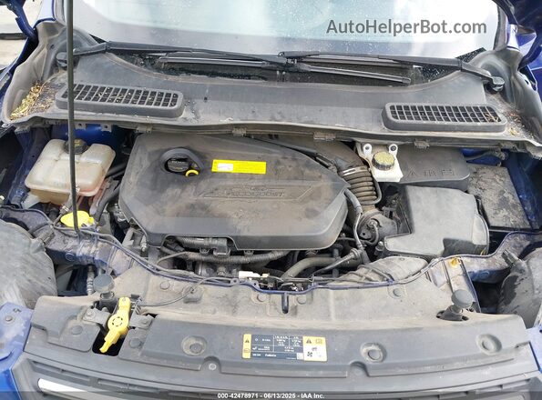 1FMCU9GX0GUC79148 2016 FORD ESCAPE Синий Вид сзади