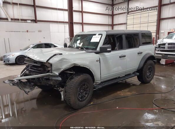 1FMEE2BP2RLA23042 2024 FORD BRONCO Gray 