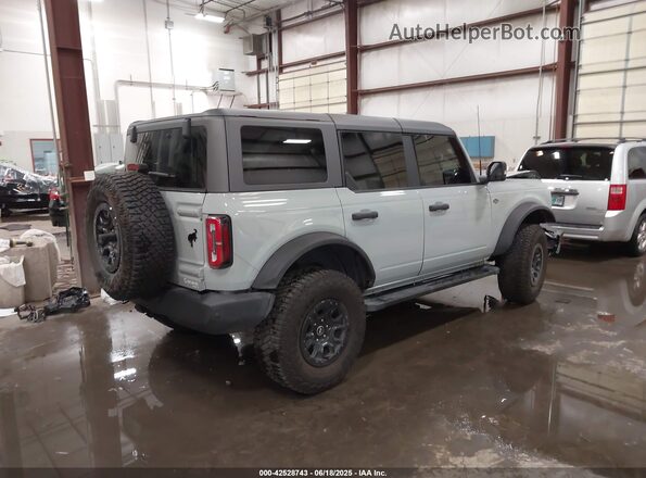 1FMEE2BP2RLA23042 2024 FORD BRONCO Gray 