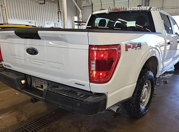 1FTEW1EPXMKE69753 2021 FORD F150  Панорамний вид салону 360°