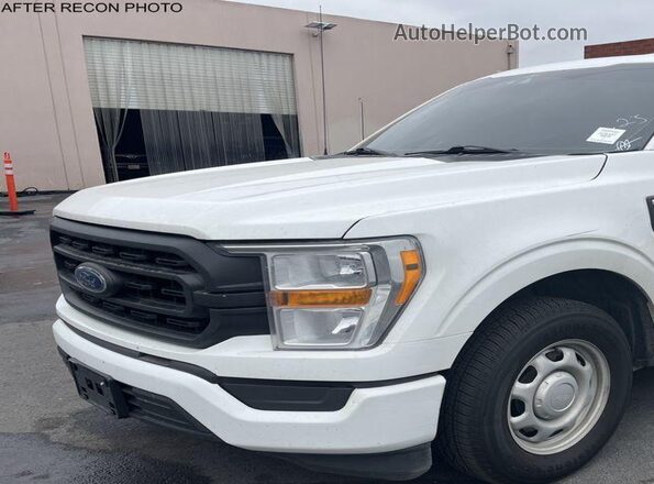 1FTEX1CB7MFA03419 2021 FORD F150  Вид ззаду