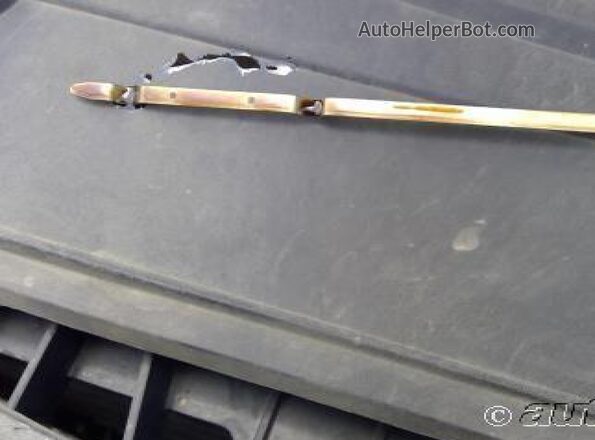 1FTEX1CB7MFA03419 2021 FORD F150  Вид задньої частини салону