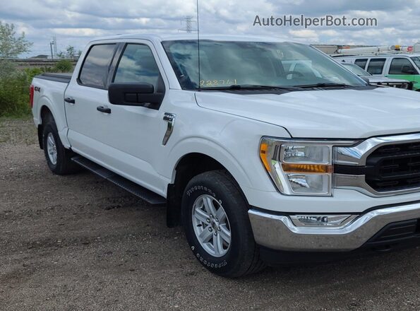 1FTFW1E58MFA73462 2021 FORD F150  Widok wnętrza z tyłu
