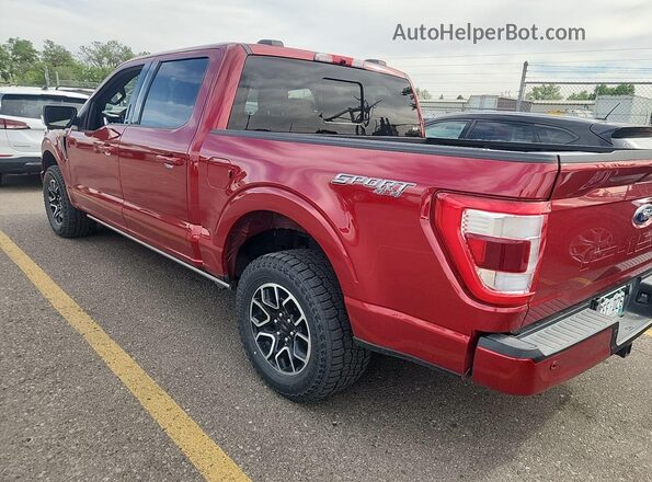 1FTFW1E5XMFC10305 2021 FORD F150  